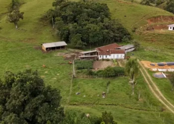 Agricultura familiar recebe investimento de R$ 20,5 milhões Do governo de SC