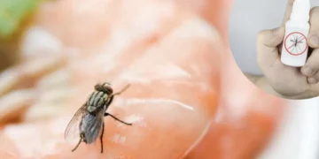 Ahuyéntelas de una vez: 3 remedios caseros para eliminar las mocas de su vista