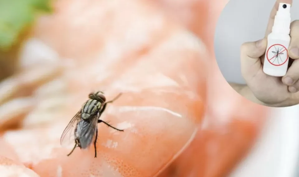 Ahuyéntelas de una vez: 3 remedios caseros para eliminar las mocas de su vista
