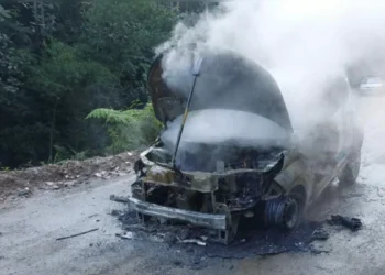 Carro é destruído por incêndio em via pública de Blumenau