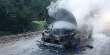 Carro é destruído por incêndio em via pública de Blumenau