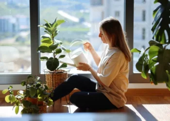 Las 4 plantas que podrían estar dañando sus pulmones sin saberlo, según expertos