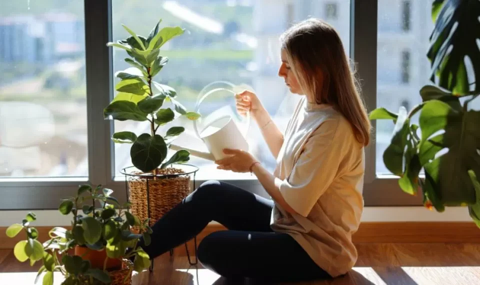 Las 4 plantas que podrían estar dañando sus pulmones sin saberlo, según expertos