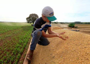 Queda dos preços ao produtor no Brasil perde força em abril com alta de alimentos