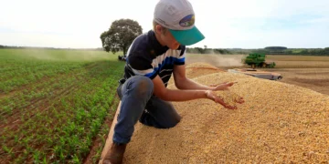 Queda dos preços ao produtor no Brasil perde força em abril com alta de alimentos