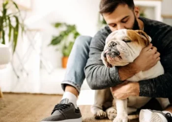 ¿Qué quiere decir que una persona acaricie a todos los perros?