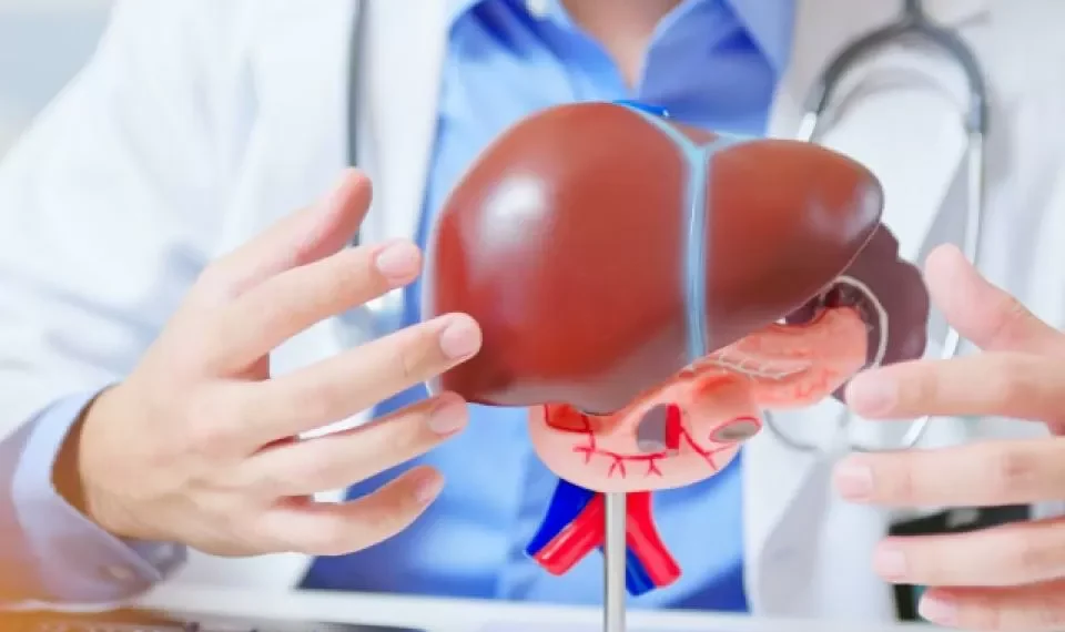 ¿Sufre hígado graso? Los cuatro procedimientos por imágenes para detectarlo a tiempo