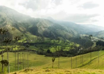 Las 4 mejores cafeterías del eje cafetero colombiano, según la IA (debería conocerlas)