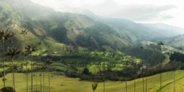 Las 4 mejores cafeterías del eje cafetero colombiano, según la IA (debería conocerlas)