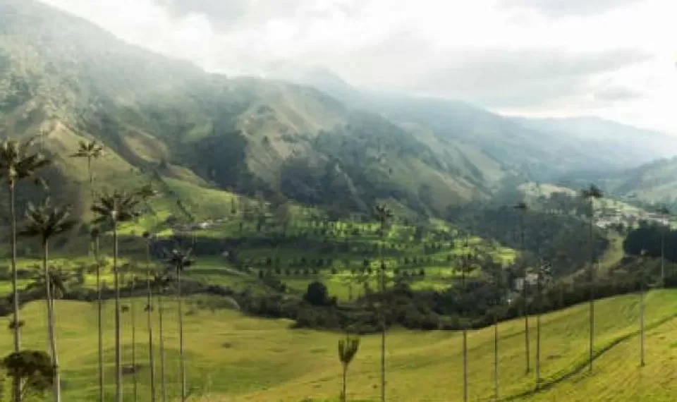 Las 4 mejores cafeterías del eje cafetero colombiano, según la IA (debería conocerlas)