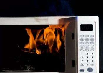 No provoque un incendio: esos son los objetos prohibidos para el microondas