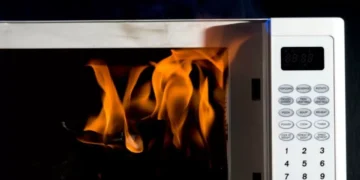 No provoque un incendio: esos son los objetos prohibidos para el microondas