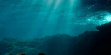 ¿Por qué el cambio en el color de los océanos preocupa a los científicos?