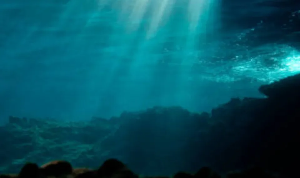 ¿Por qué el cambio en el color de los océanos preocupa a los científicos?