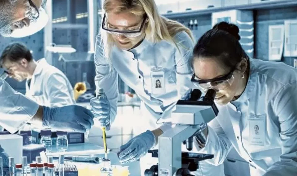 Revelan una pista sobre el misterio de la regeneración de extremidades