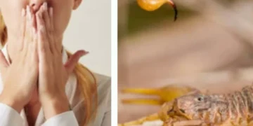 Si quiere evitar alacranes en casa, este es el lugar que debe limpiar de inmediato