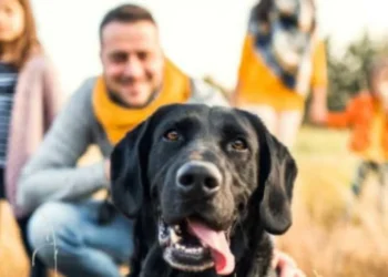 Si no le gustan los perros desconocidos: estos son los 3 olores que los atraen