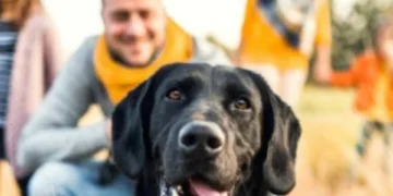 Si no le gustan los perros desconocidos: estos son los 3 olores que los atraen