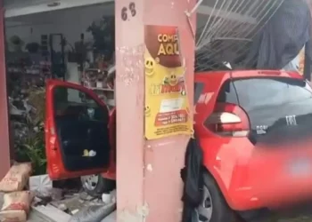Adolescente colide contra floricultura em Blumenau após pegar veículo com autorização de adulto