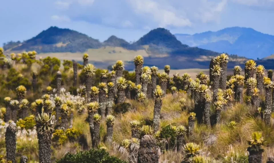 Con 5.000 habitantes, la ONU Turismo resalta este increíble paisaje natural de Colombia