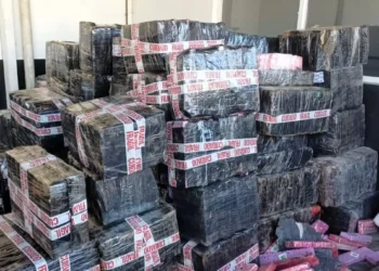 Operação na SC-108, em Guaramirim, intercepta comboio com quase 4 toneladas de maconha