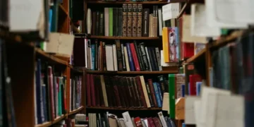 Recomendados Portafolio: Economía conversada