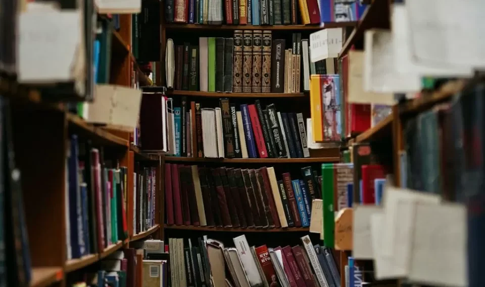 Recomendados Portafolio: Economía conversada