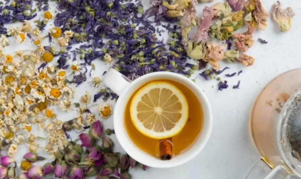 No pierda la memoria: las 5 bebidas que protegen a las neuronas del paso del tiempo