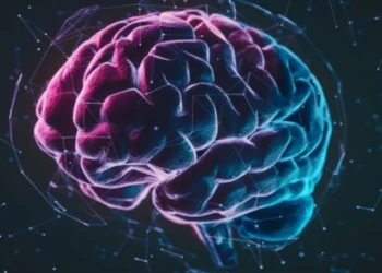 El estrés de las cargas financieras podría tener repercusiones en el cerebro