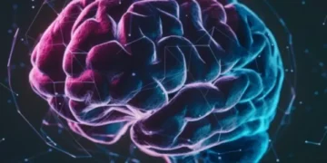 El estrés de las cargas financieras podría tener repercusiones en el cerebro