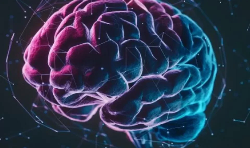 El estrés de las cargas financieras podría tener repercusiones en el cerebro