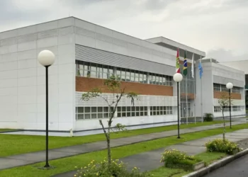 Câmara de Timbó Amplia Atendimento a Mulheres com Suporte via WhatsApp