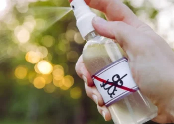 Adiós a las plagas e insectos: el insólito remedio natural utilizado como repelente