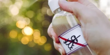 Adiós a las plagas e insectos: el insólito remedio natural utilizado como repelente