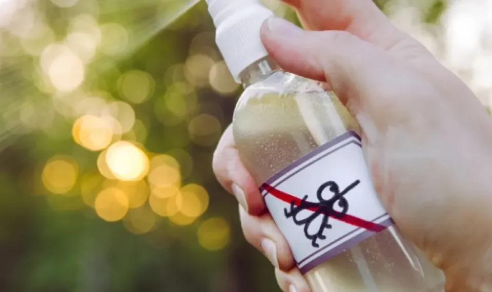 Adiós a las plagas e insectos: el insólito remedio natural utilizado como repelente