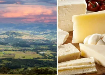 La ciudad de Colombia que produce el mejor queso del mundo: ¿por qué es tan reconocida?