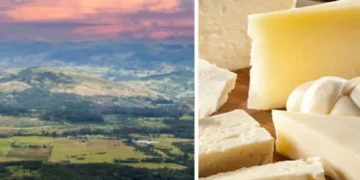 La ciudad de Colombia que produce el mejor queso del mundo: ¿por qué es tan reconocida?