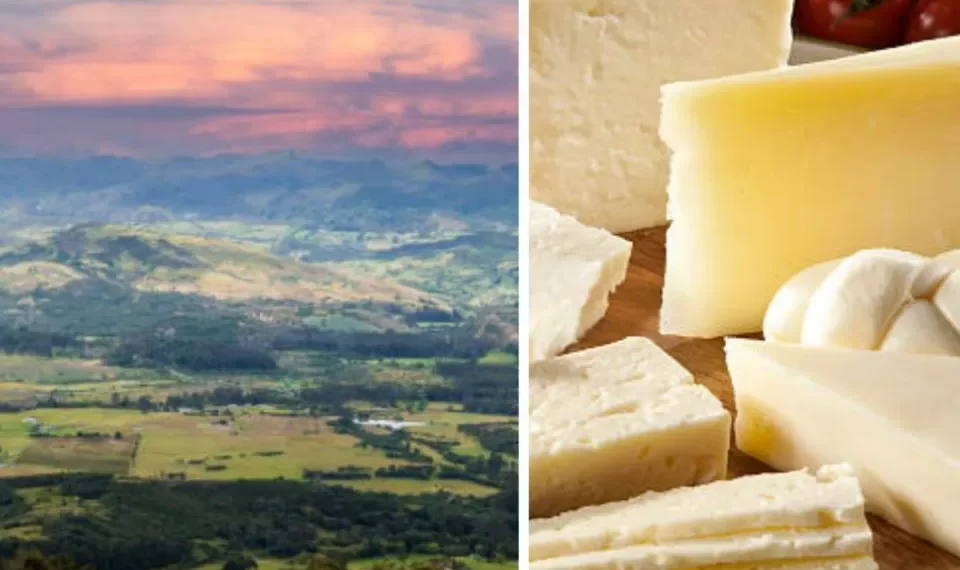 La ciudad de Colombia que produce el mejor queso del mundo: ¿por qué es tan reconocida?