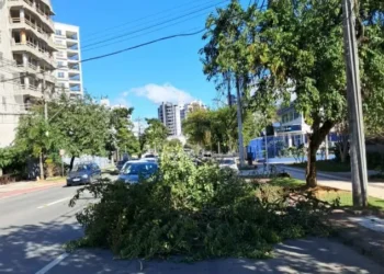 Blumenau enfrenta ventos de mais de 55 km/h e registra sete ocorrências ligadas ao clima