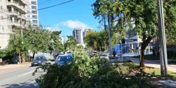 Blumenau enfrenta ventos de mais de 55 km/h e registra sete ocorrências ligadas ao clima