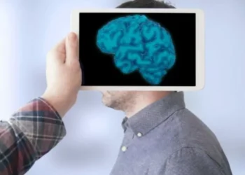 Mantienen la memoria intacta: los 6 alimentos que fortalecen el cerebro