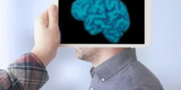 Mantienen la memoria intacta: los 6 alimentos que fortalecen el cerebro