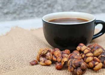 ‘Café de excremento’: el país donde se hace la bebida más cara del mundo