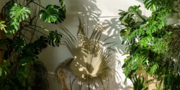 Experta reveló el truco para revivir las plantas que ya están marchitas: es buenísimo