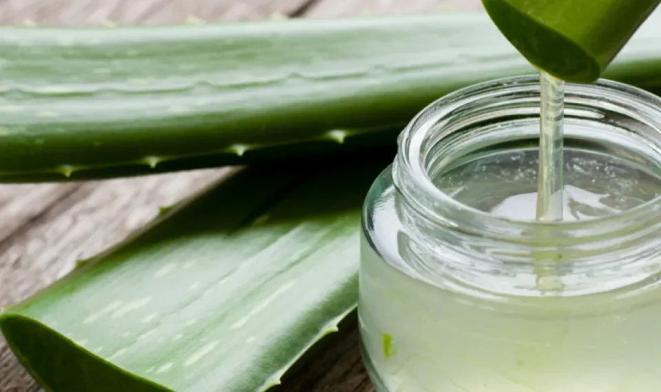 El remedio con aloe vera que puede hacer en casa y le dejará la piel radiante