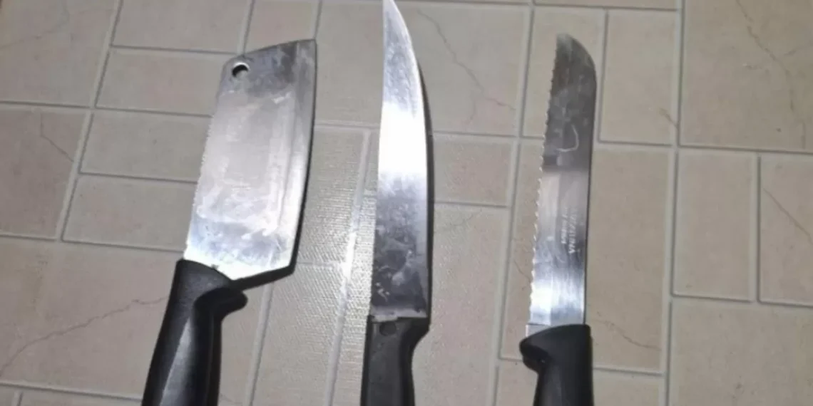 Homem com faca é um dos quatro presos por violência doméstica no sábado em Blumenau