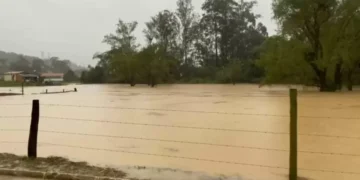 Governo de SC investe R$ 21 milhões em desassoreamento de rios em Rio do Sul