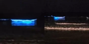 Noite azul: mar de SC brilha e encanta com fenômeno raro
