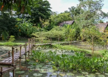 La industria del bienestar, la última apuesta de Tailandia para atraer turistas