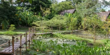 La industria del bienestar, la última apuesta de Tailandia para atraer turistas